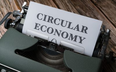 Innovation et Durabilité au Cœur de la Prospérité : Redéfinir l’Économie Circulaire